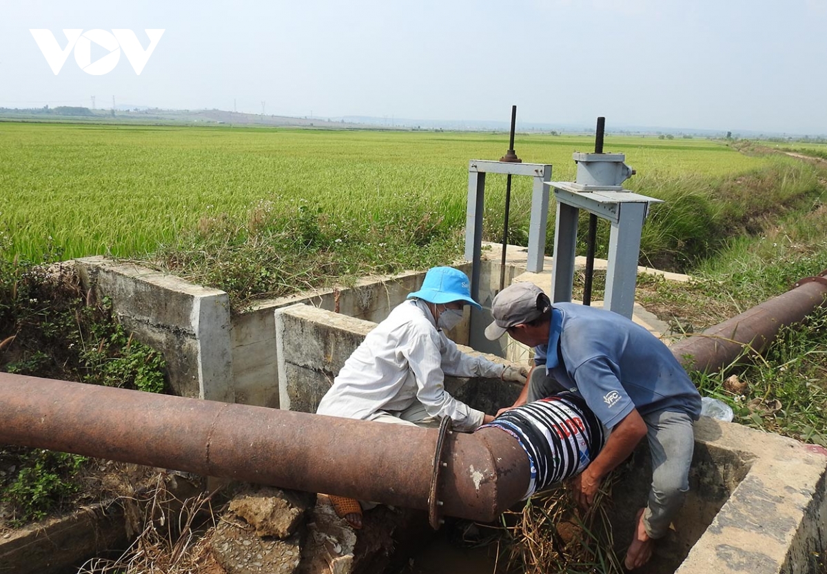 Kon Tum ngày đêm bơm nước chống hạn cho lúa vùng bán ngập thuỷ điện Yaly